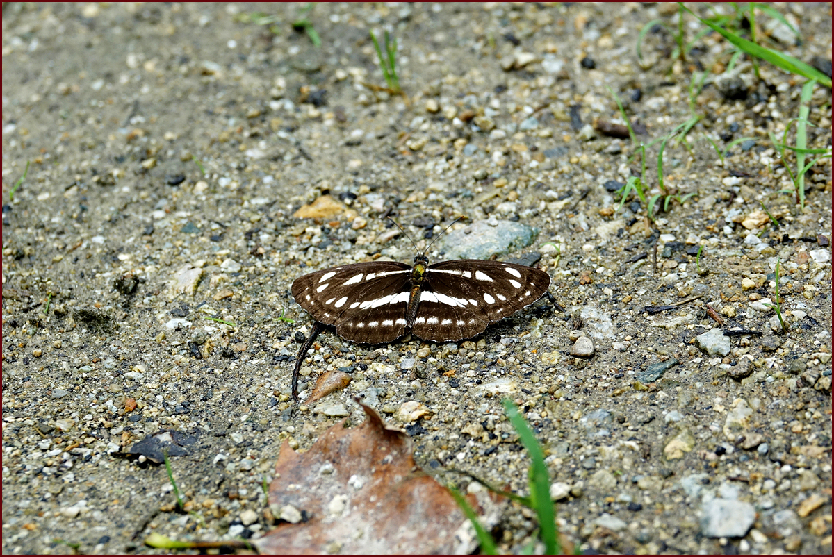 KHS04344.jpg