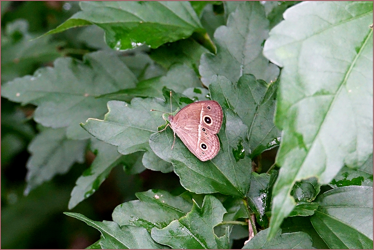 KHS04357.jpg