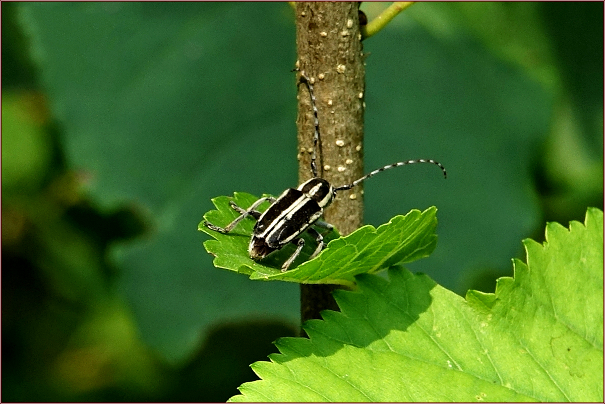 KHS03170.jpg