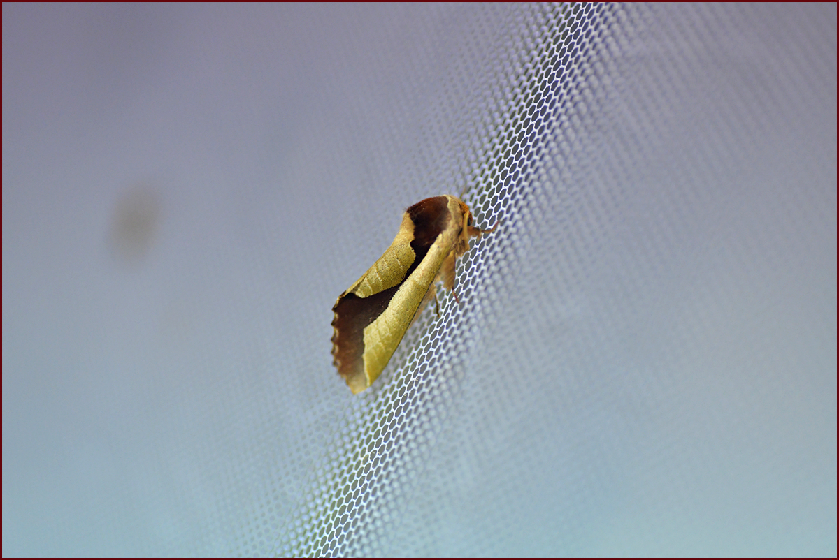 DSC_4170.jpg