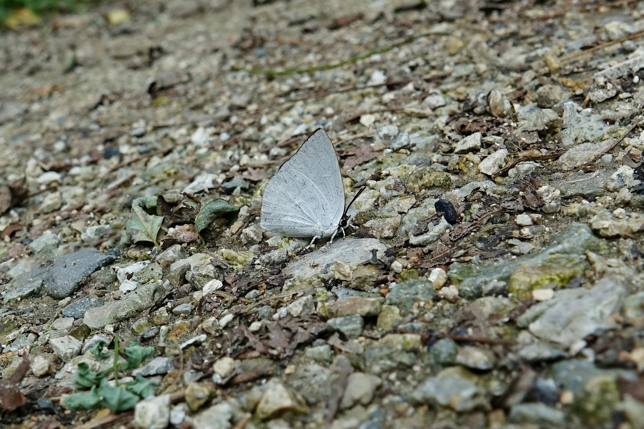 KHS04910.JPG