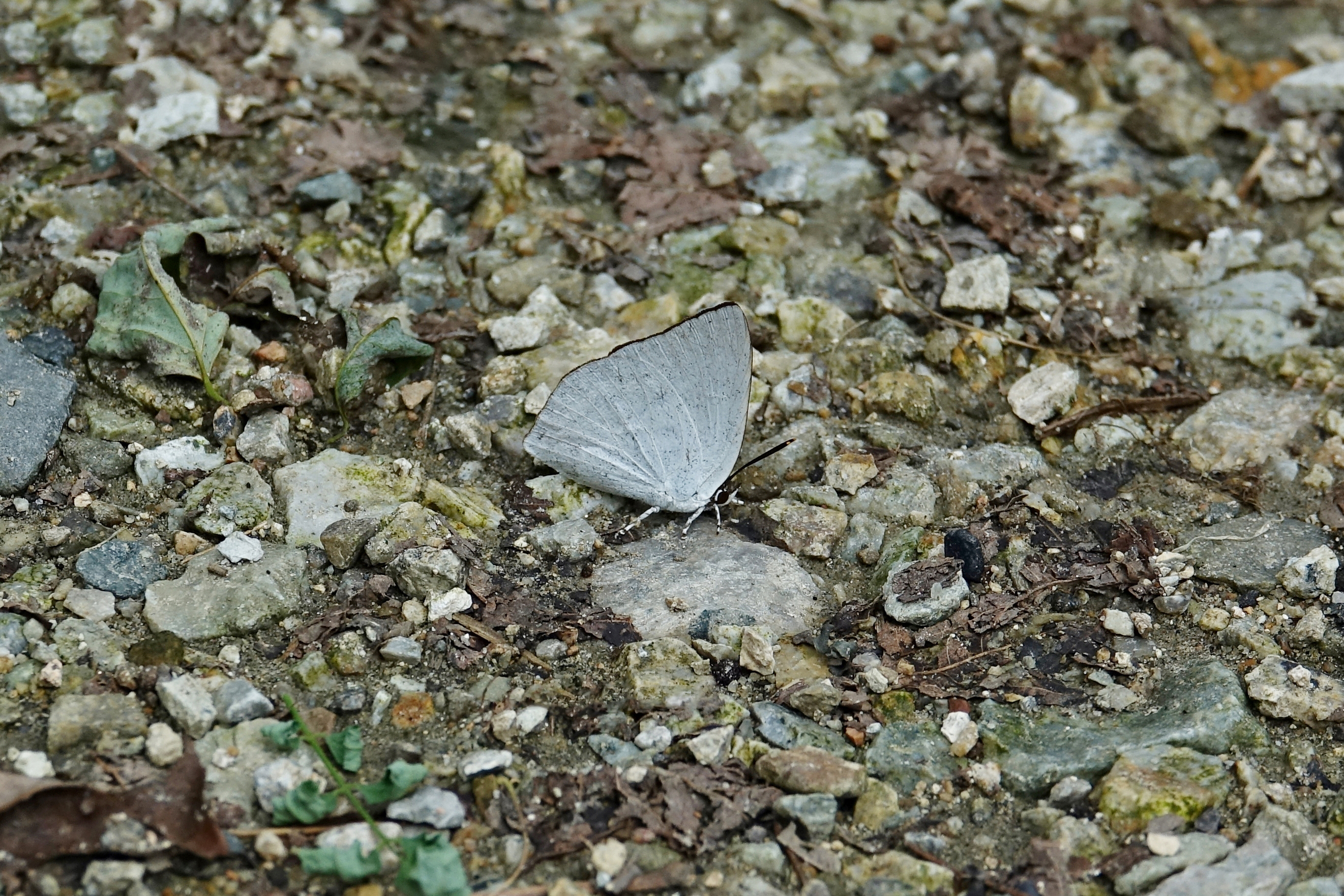 KHS04907.JPG