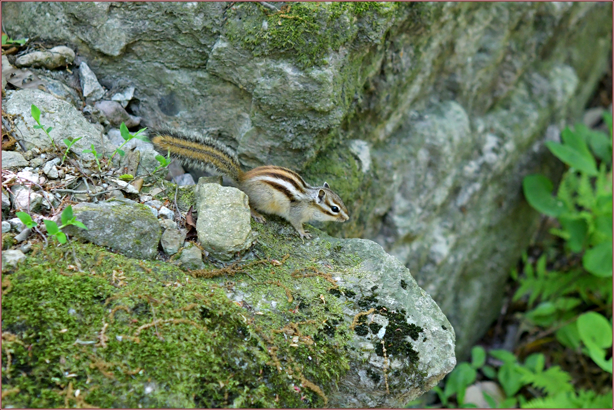 DSC_0731.jpg