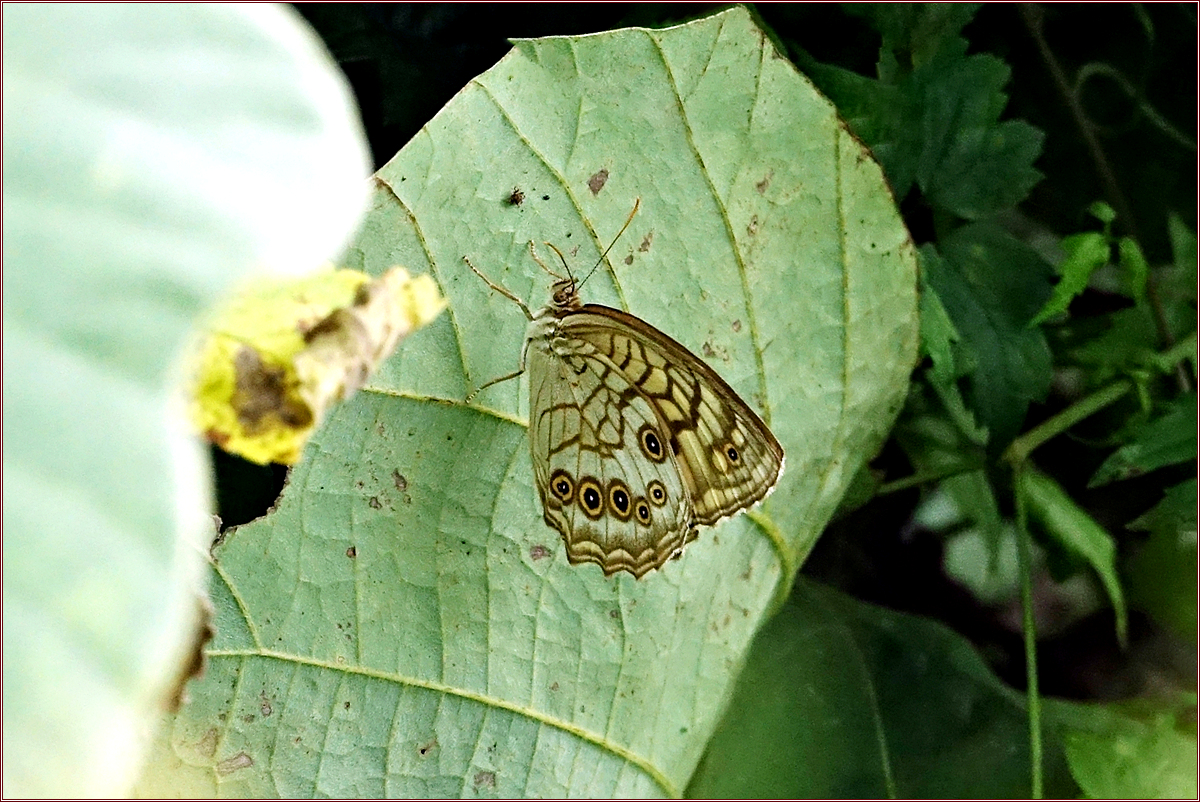KHS03119.jpg
