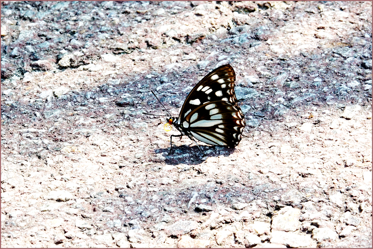 KHS04870.jpg