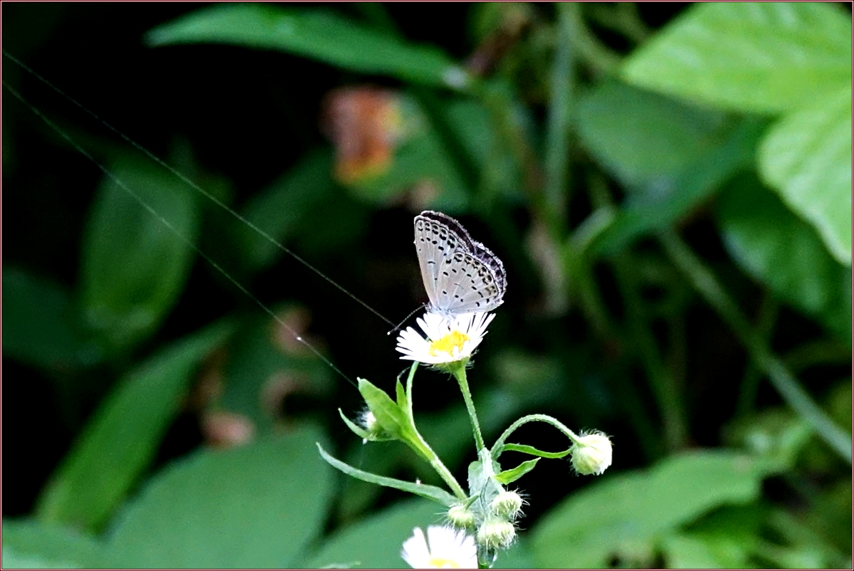 KHS02624.jpg