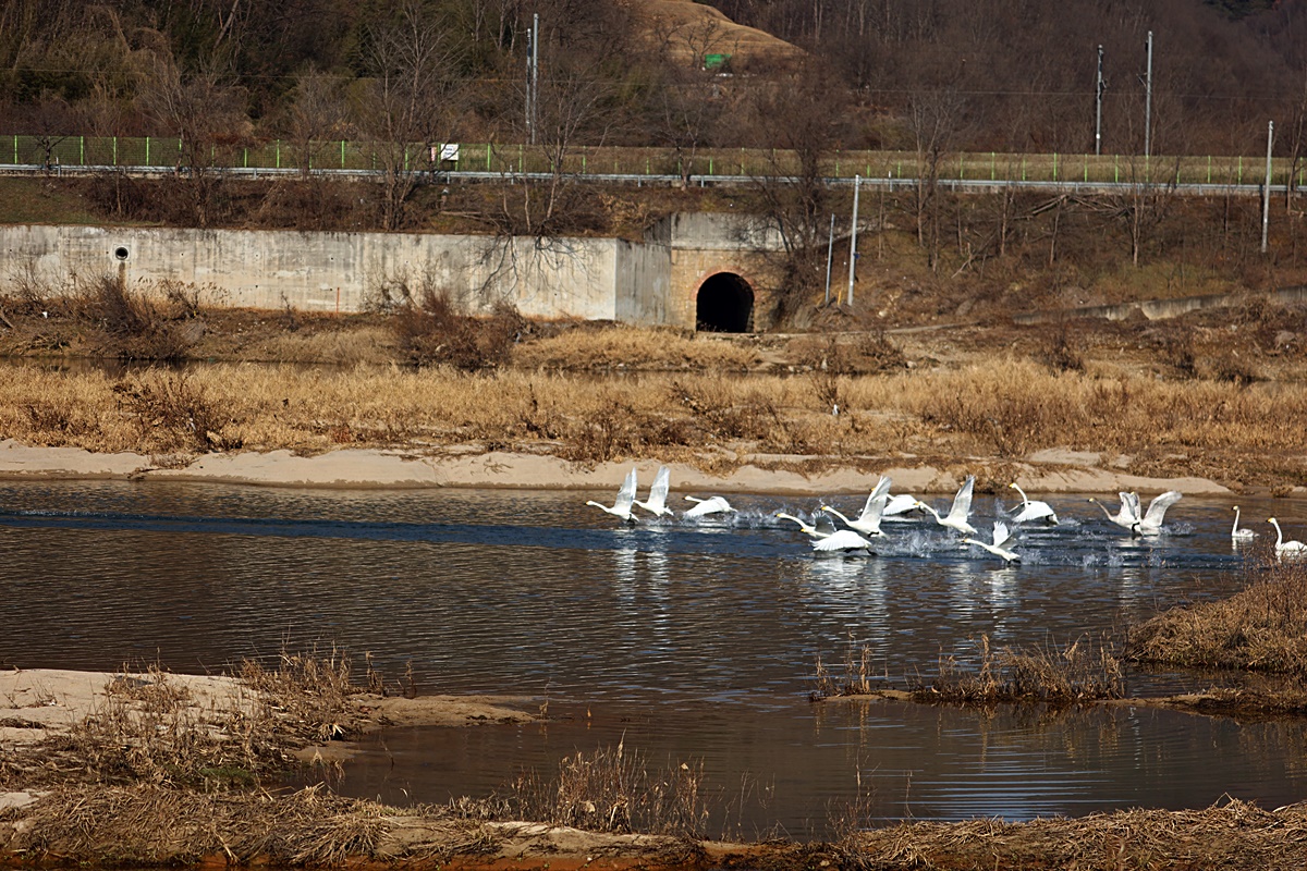 2024-01-01 (272)-1.JPG