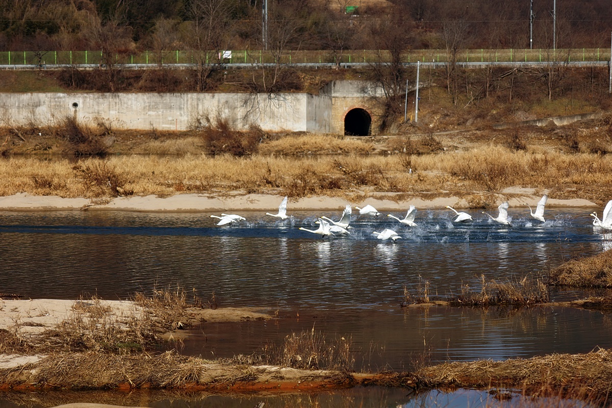 2024-01-01 (278)-1.JPG