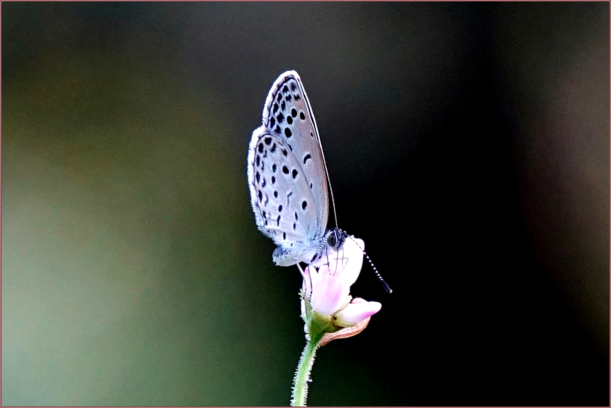 KHS06992.jpg