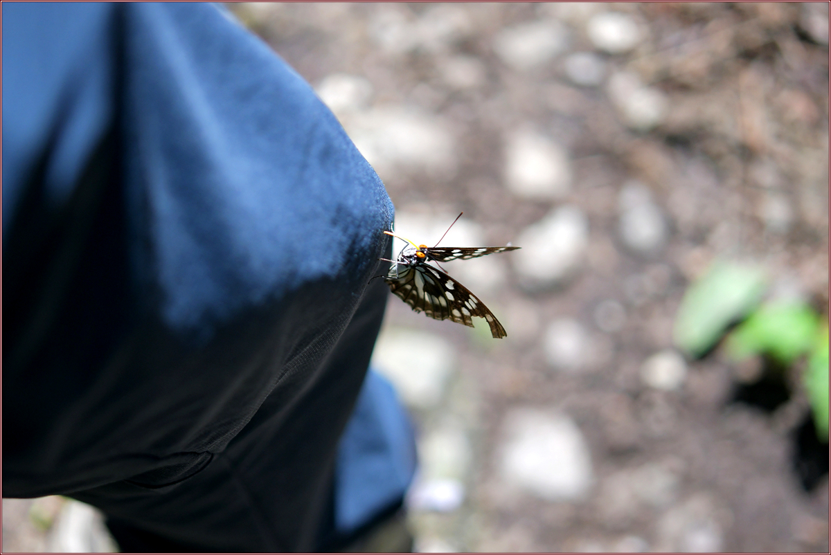 DSC_5997.jpg