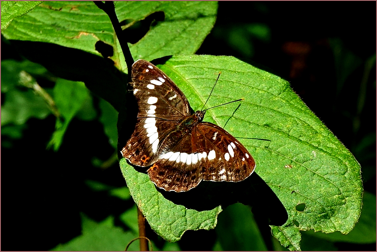 KHS05382.jpg