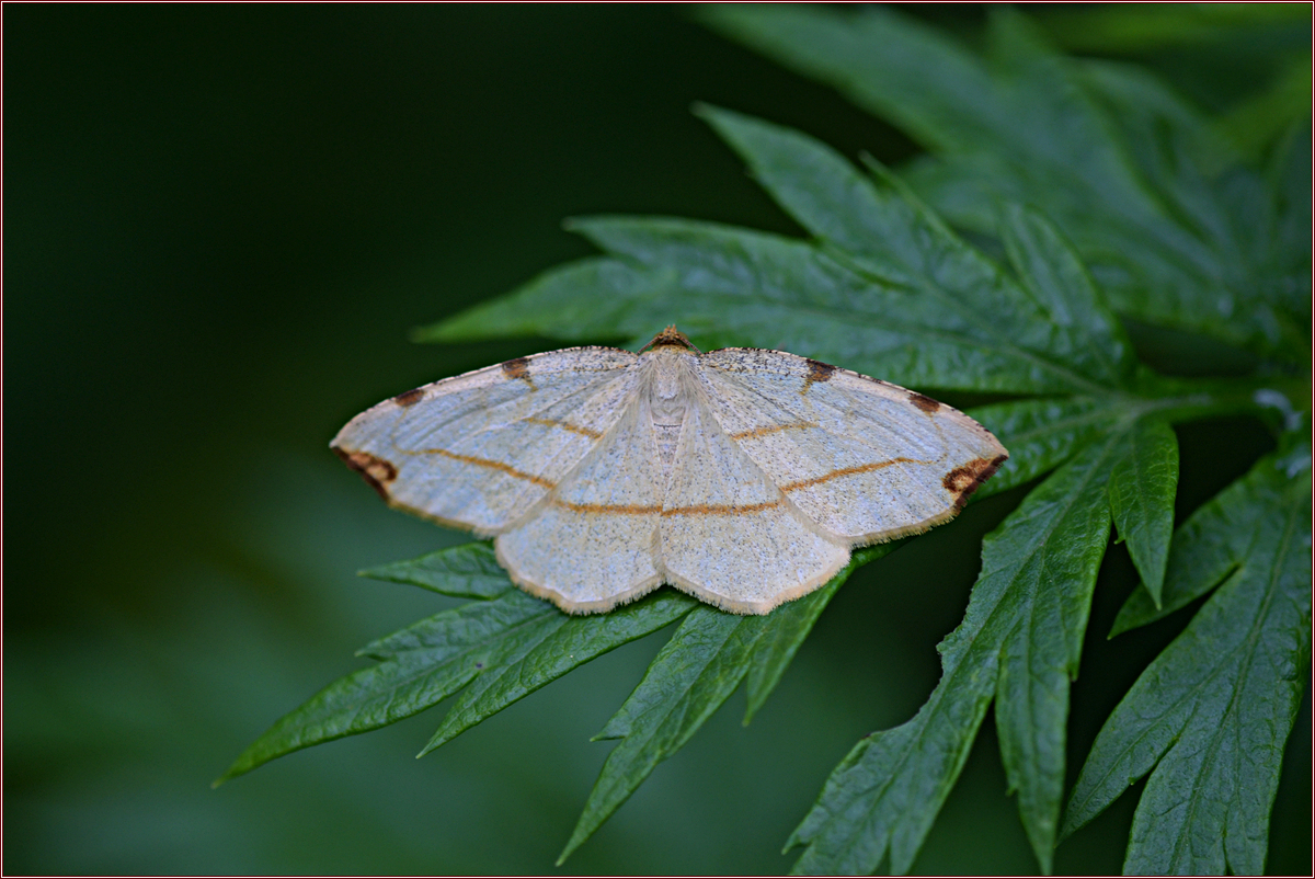 DSC_3404.jpg