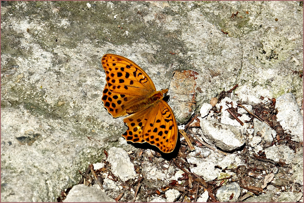 KHS00839.jpg