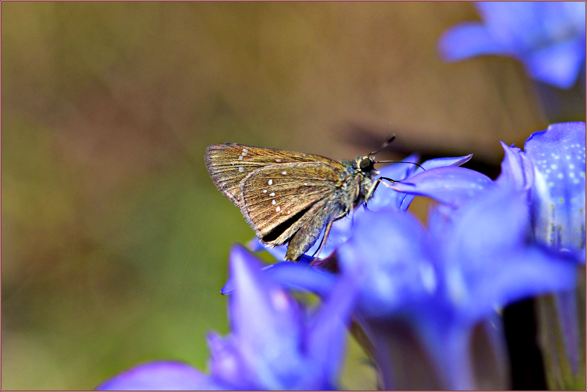 DSC_3717_02.jpg