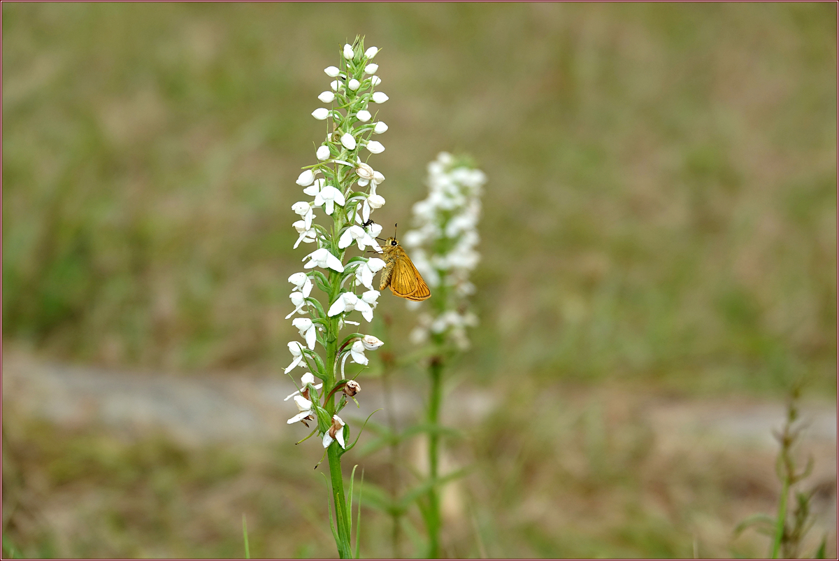 KHS03349.jpg