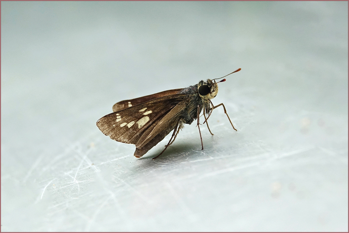 KHS02629.jpg