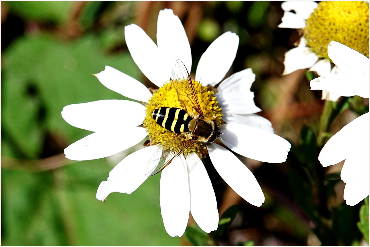 KHS03396.jpg