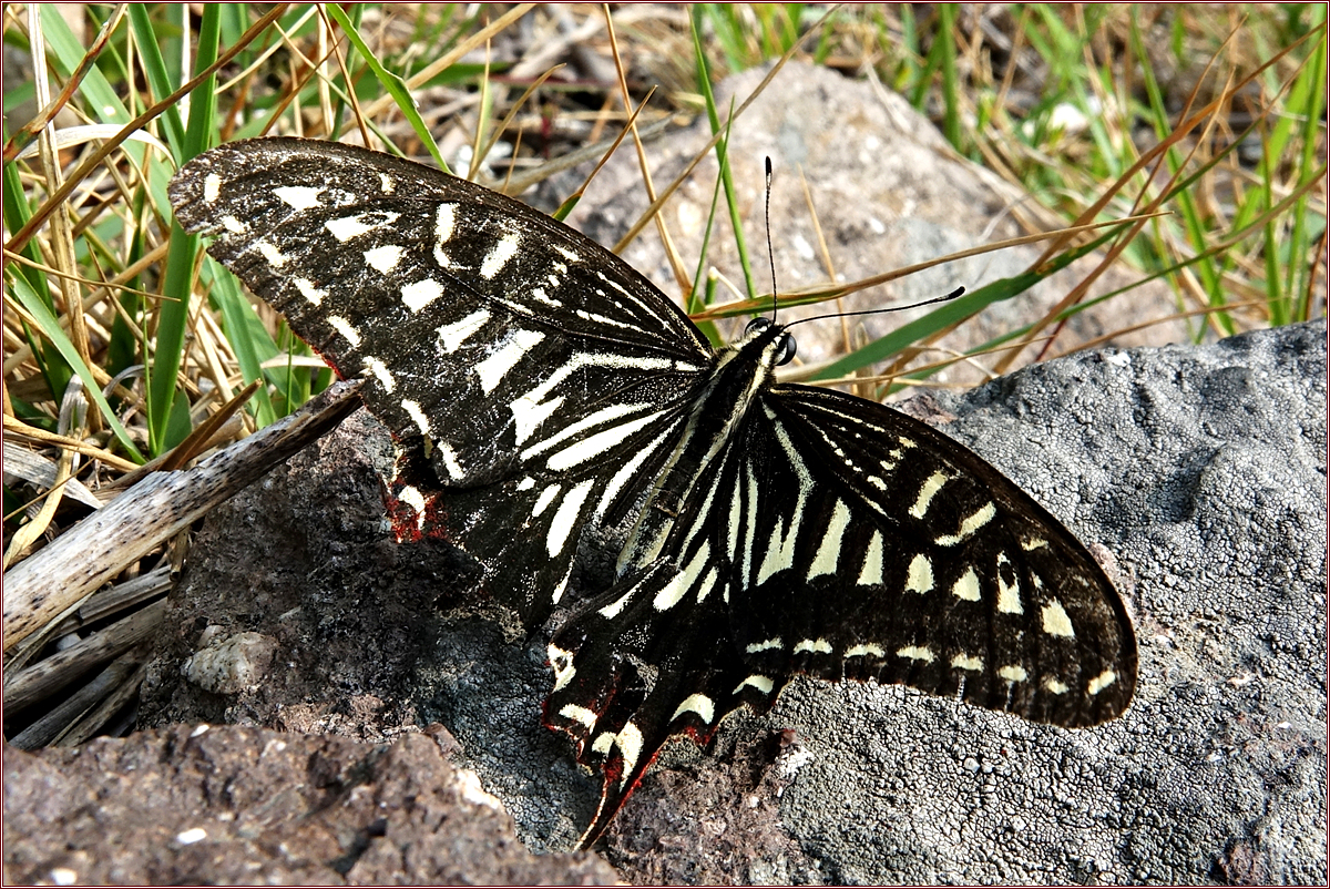 KHS03139.jpg