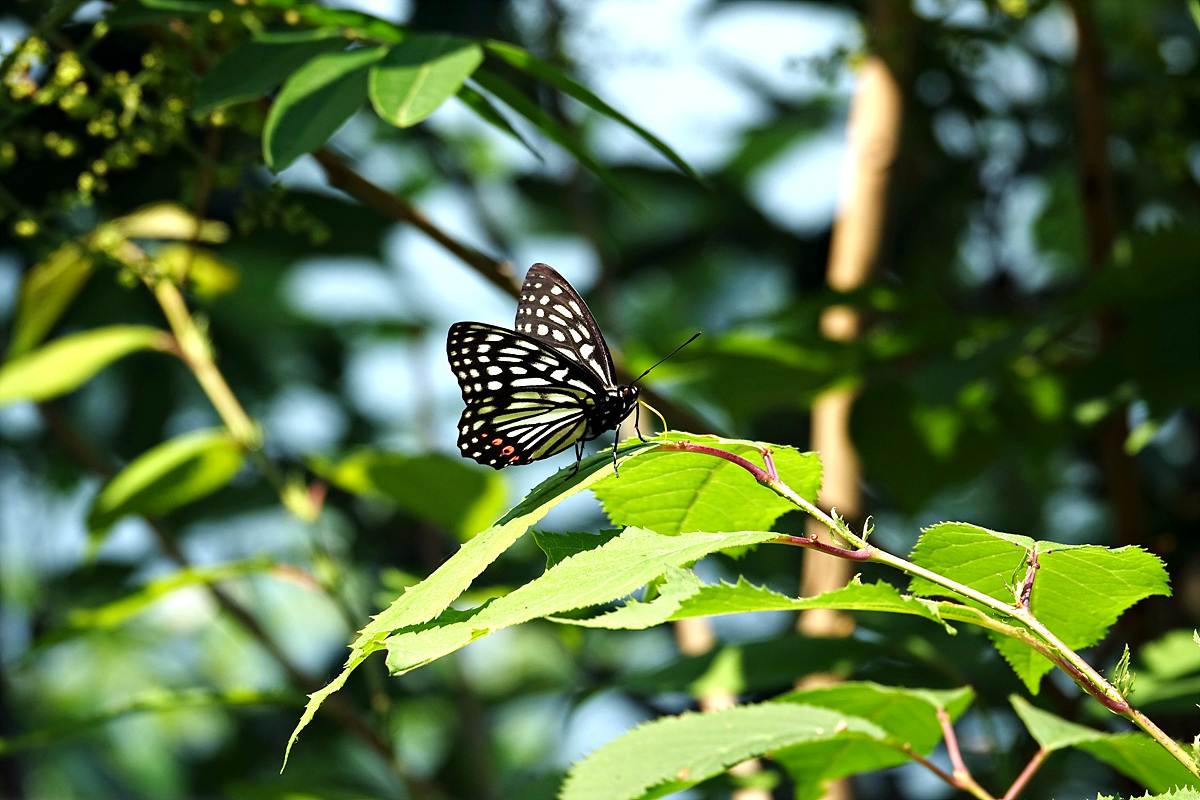 KHS05419.jpg