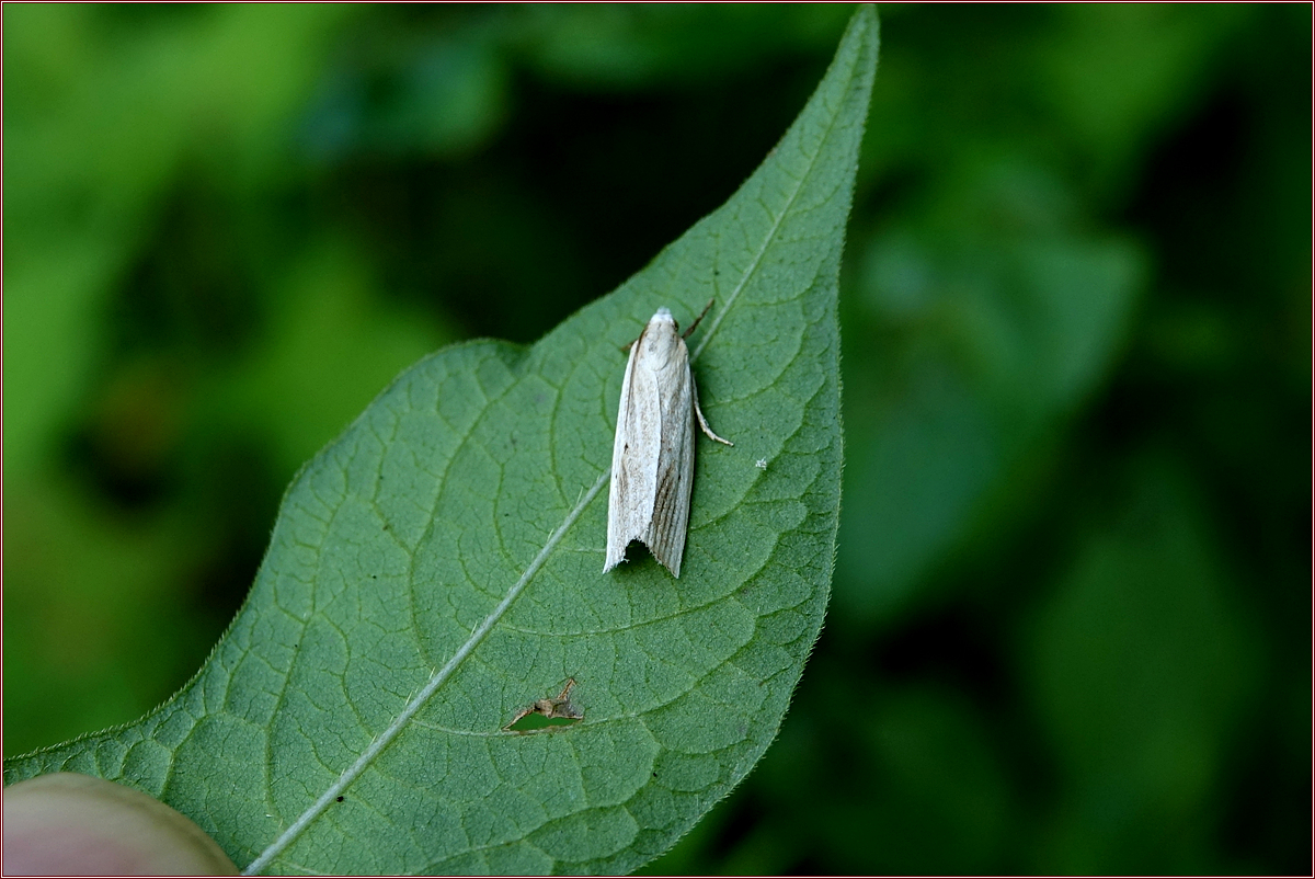 KHS02245.jpg