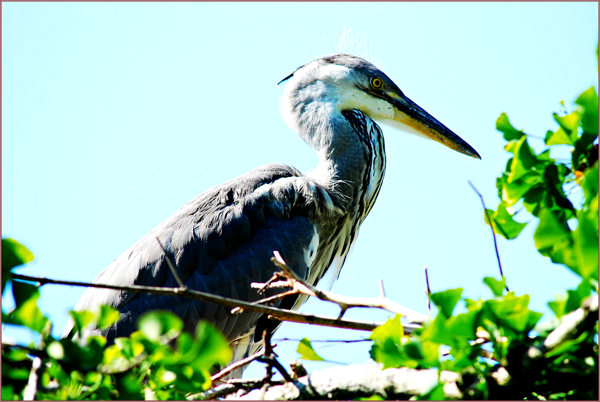 DSC_6327.jpg
