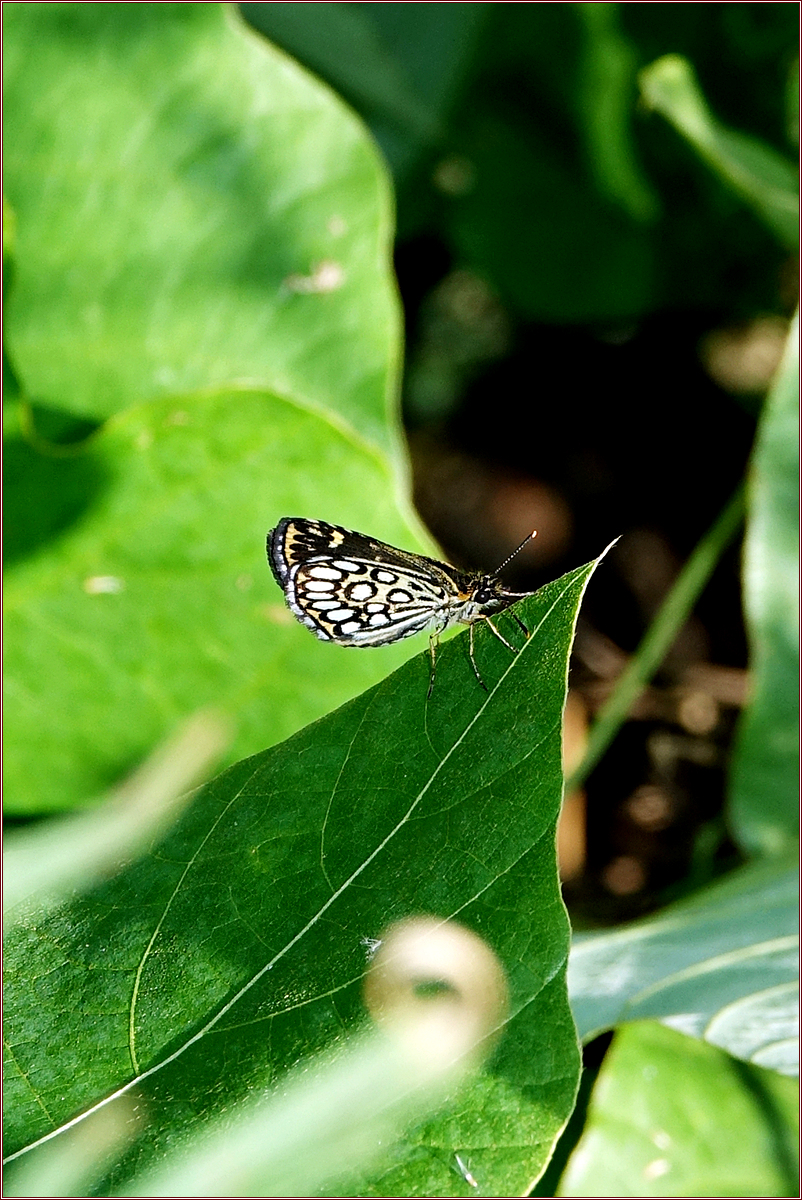 KHS01380.jpg