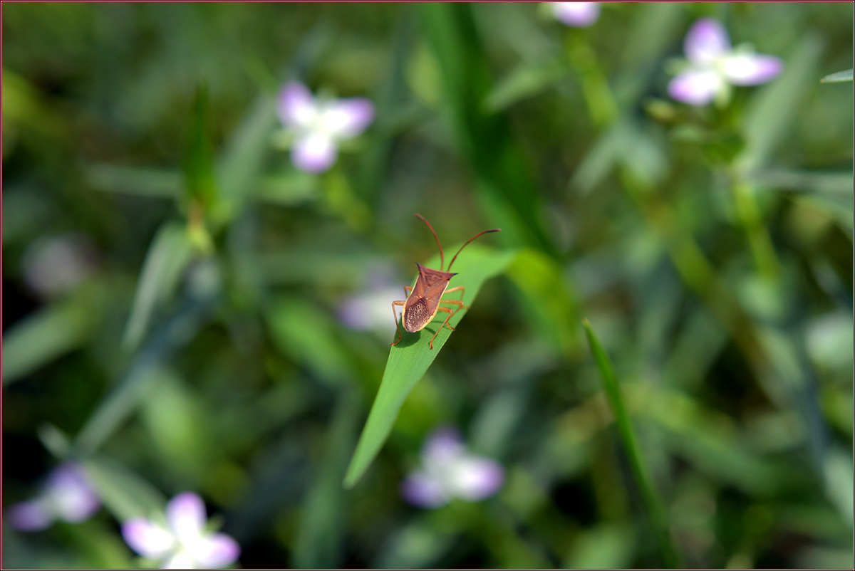 DSC_6156.jpg