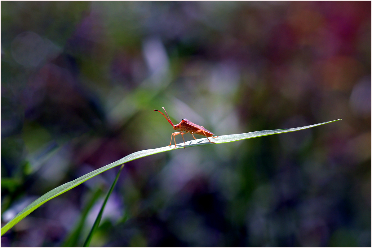 DSC_6155.jpg
