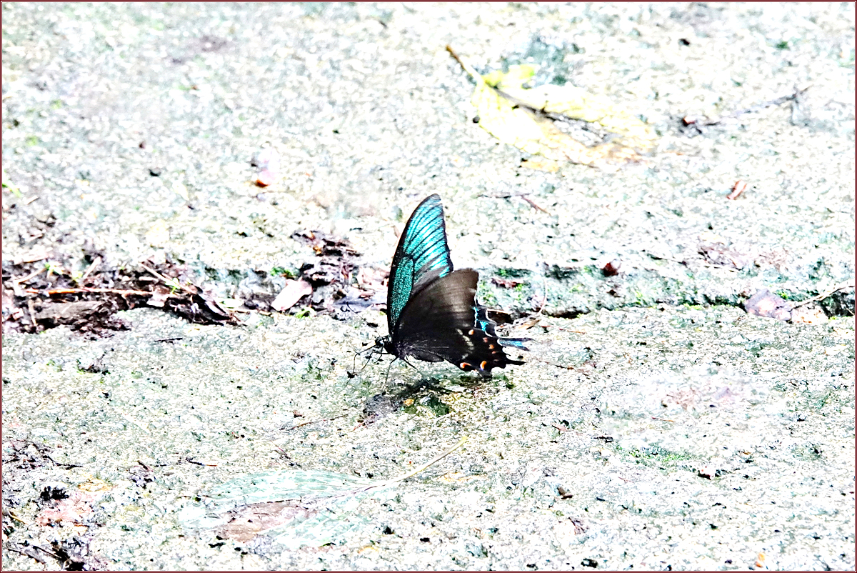 KHS06735.jpg