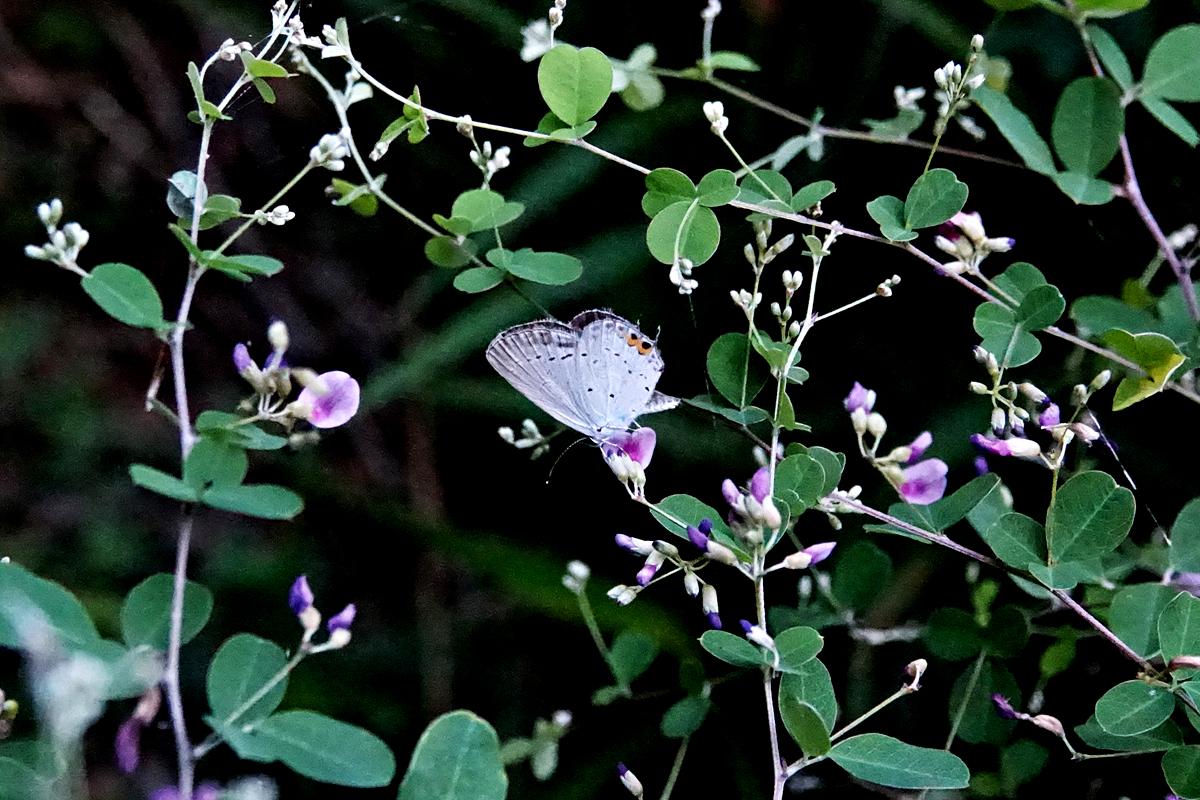 KHS00340_3.jpg