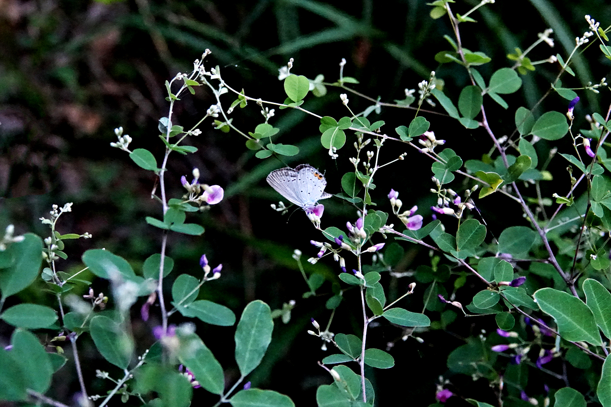 KHS00340_2.jpg