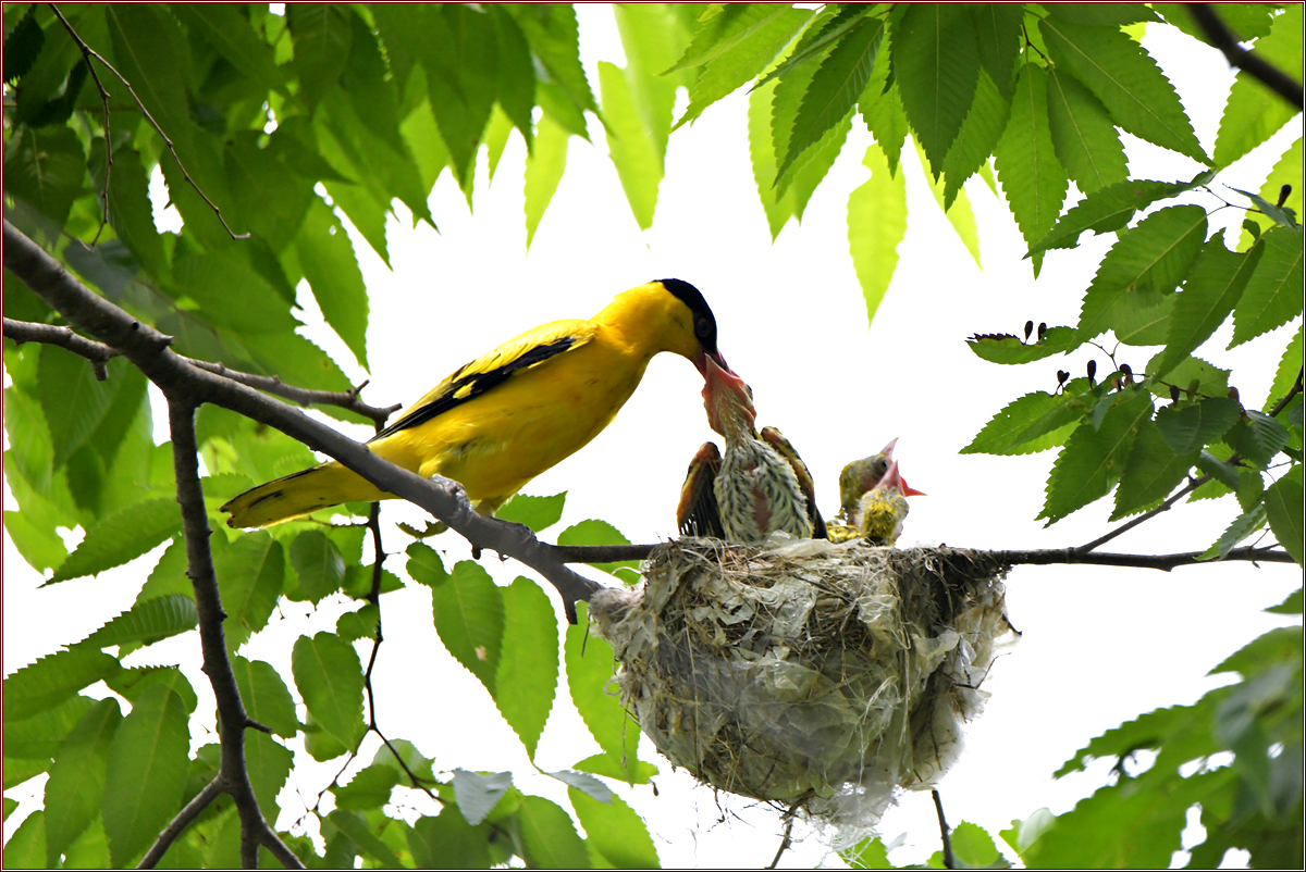 DSC_2979.jpg