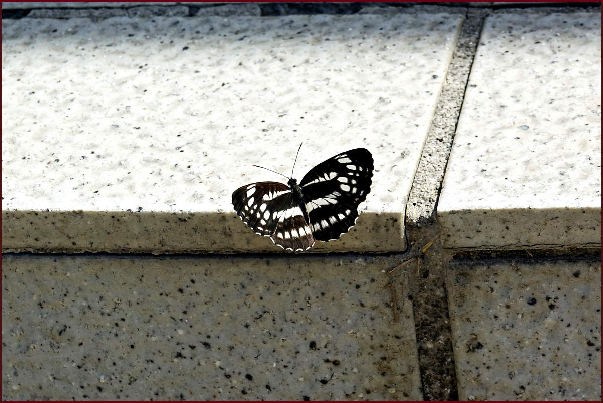 KHS02694.jpg