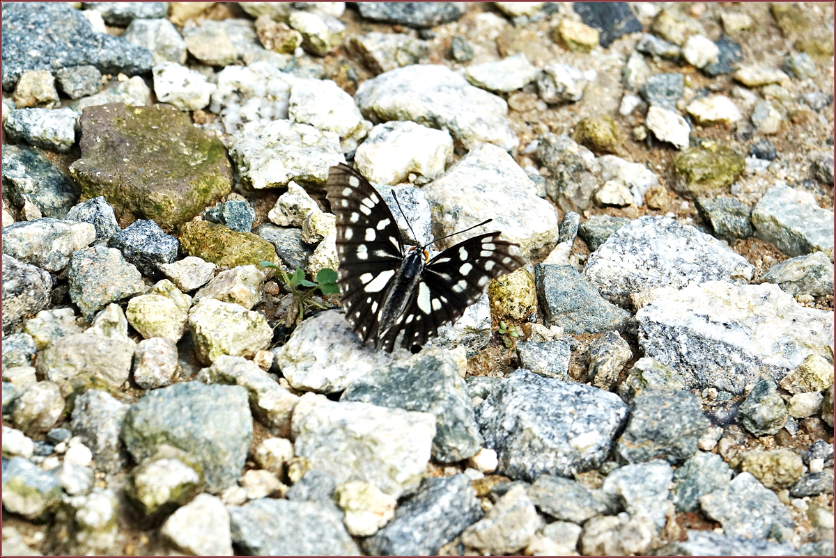 KHS03157.jpg