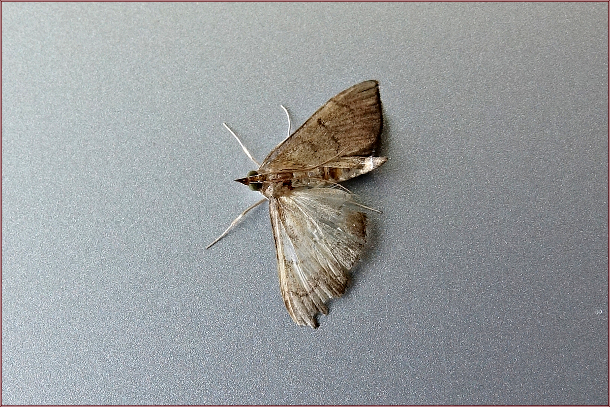 KHS01602.jpg