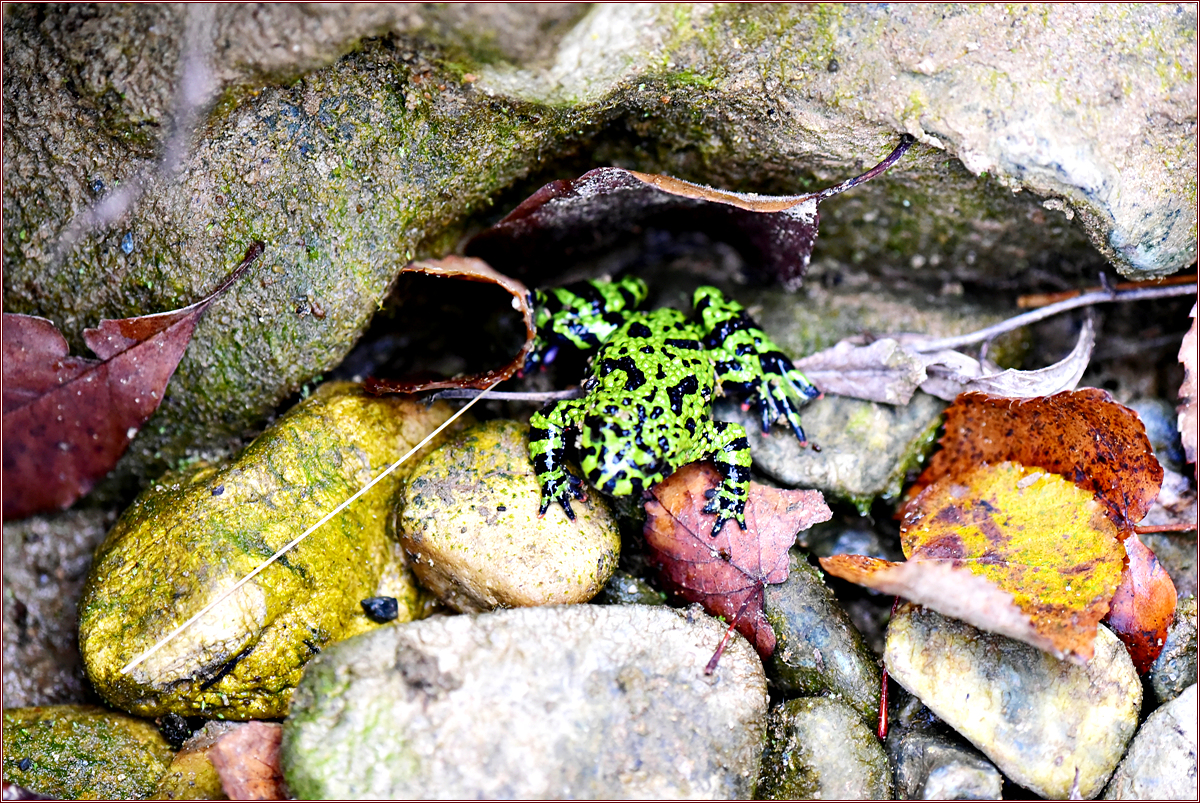 DSC_6624.jpg