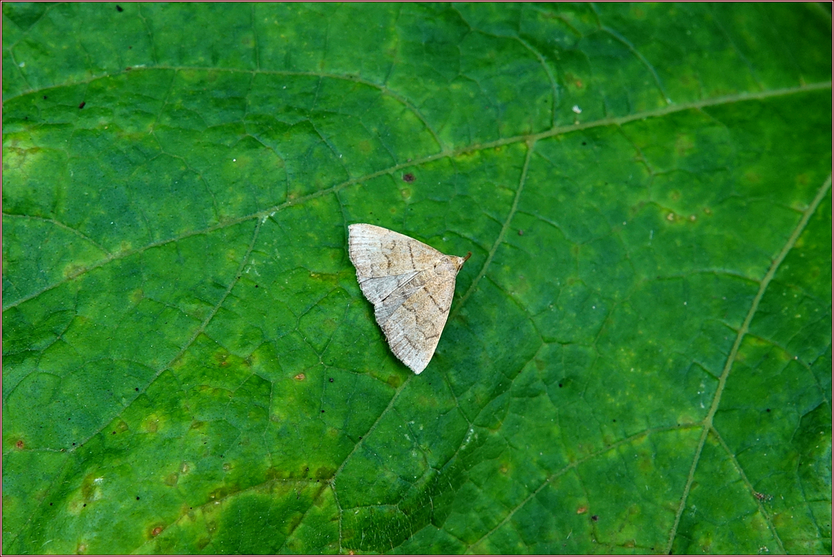 KHS06602.jpg