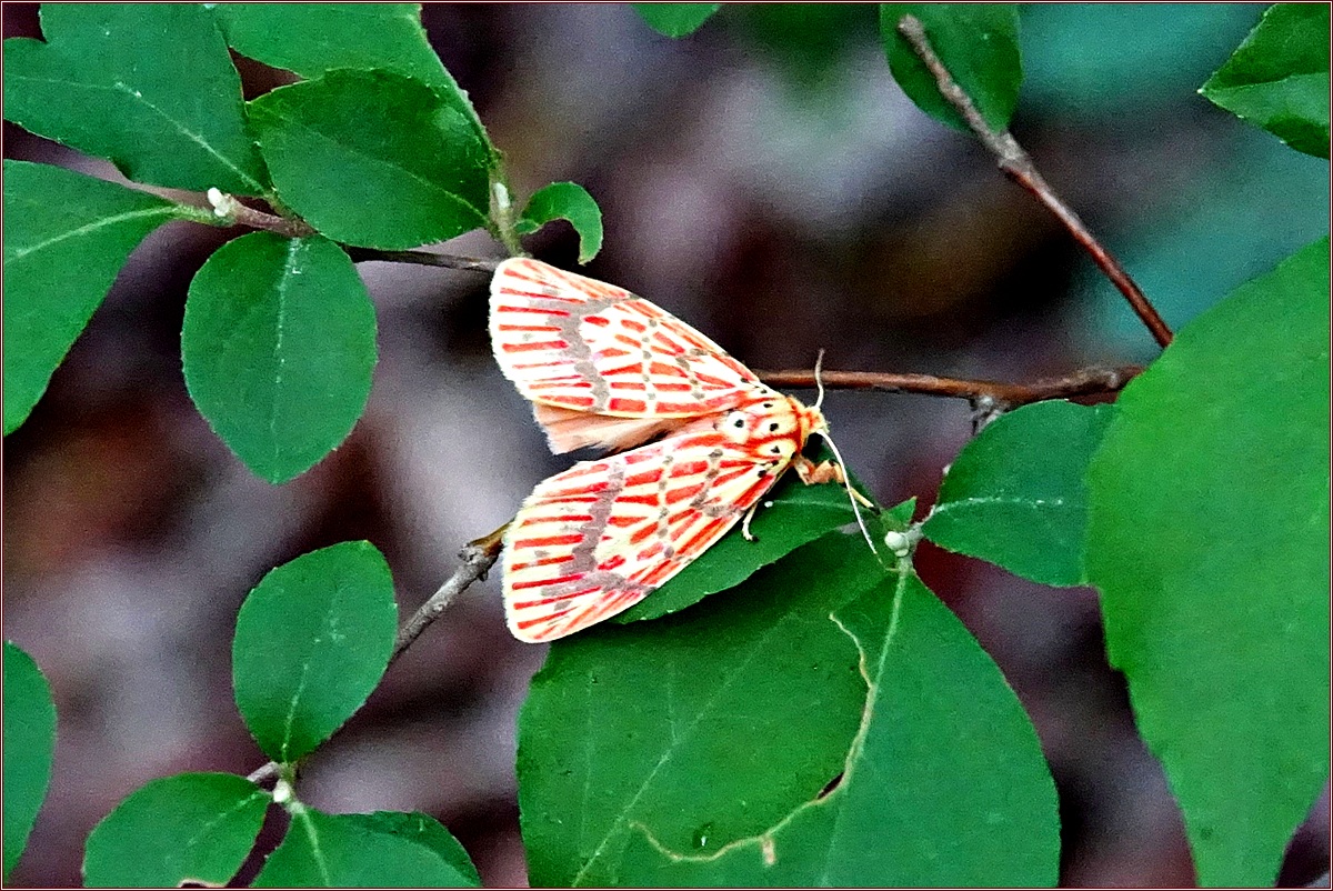 KHS01654.jpg