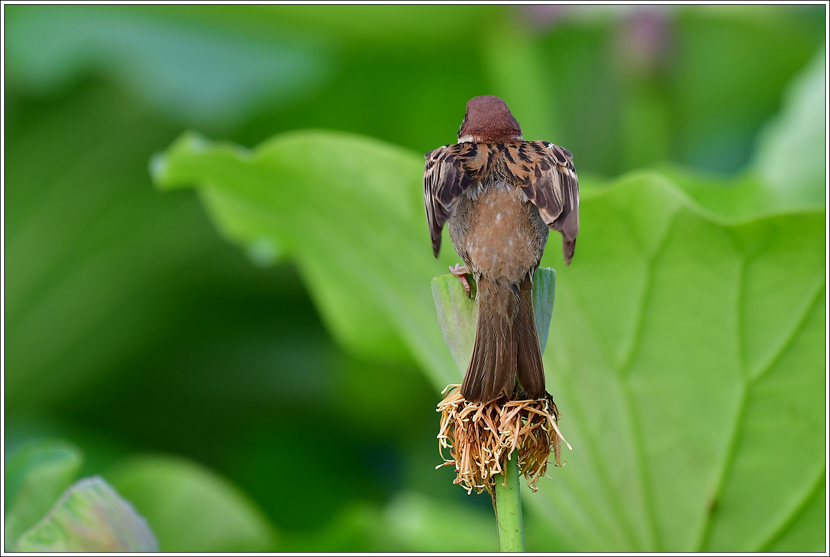 CJH_4051 완.jpg