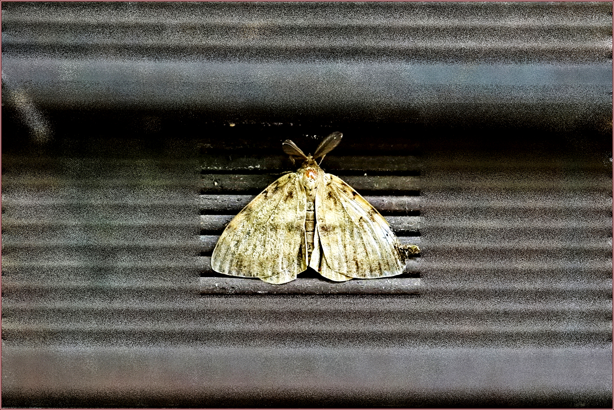 KHS04469.jpg