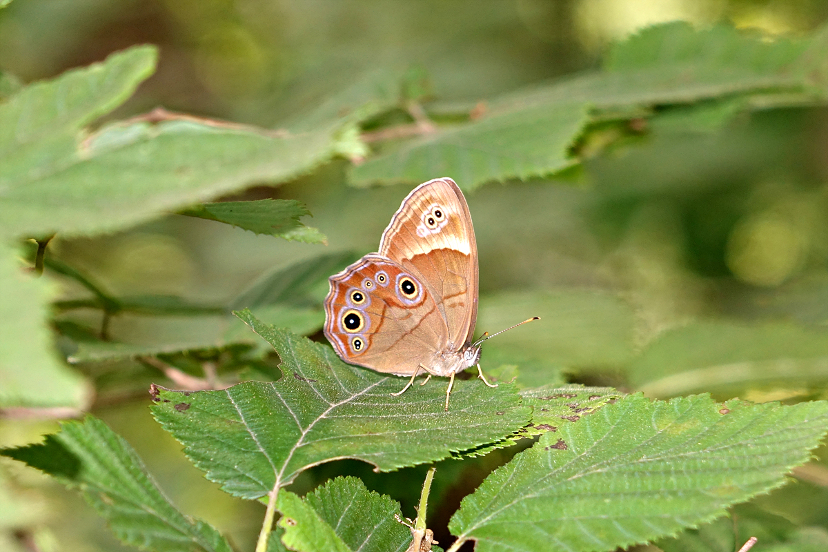 DSC07379.jpg