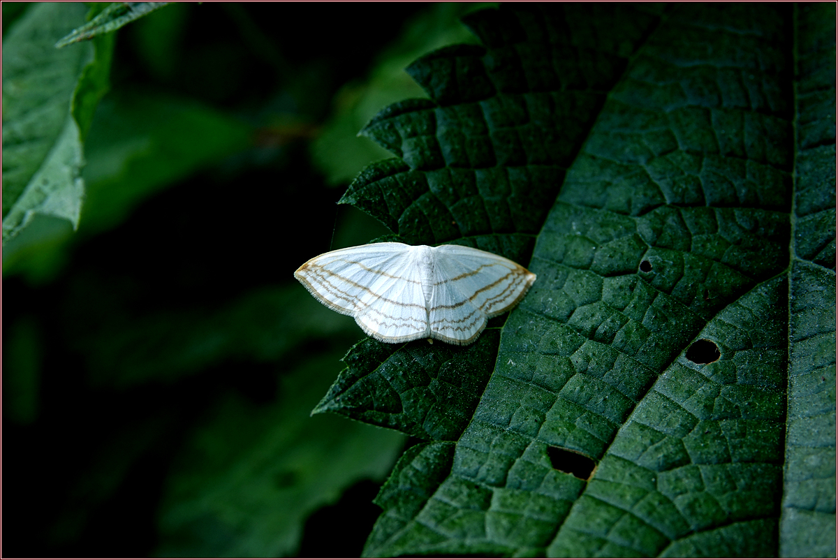 KHS09587.jpg