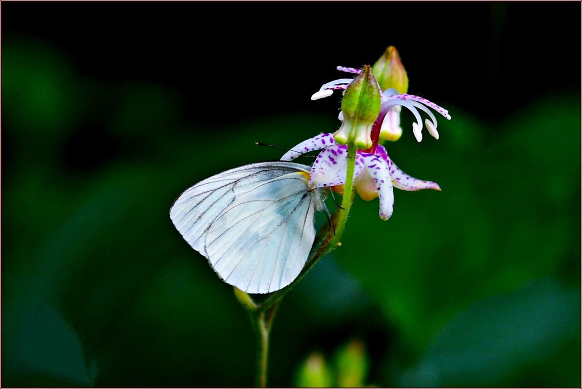 DSC_4865_02.jpg