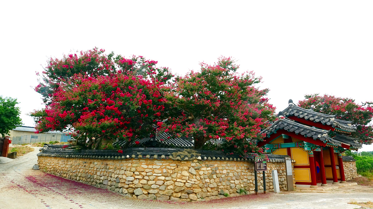 KHS06370_02.jpg