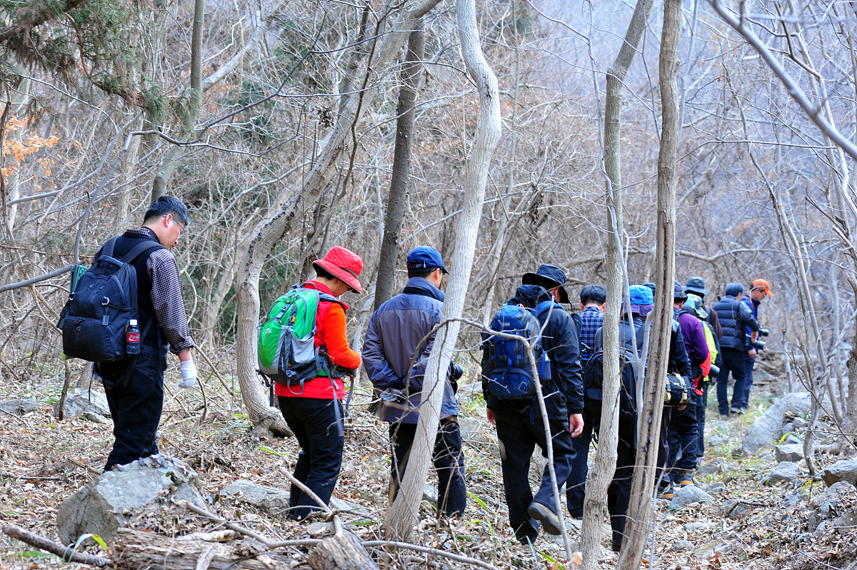 2011@02-26GA 238.jpg