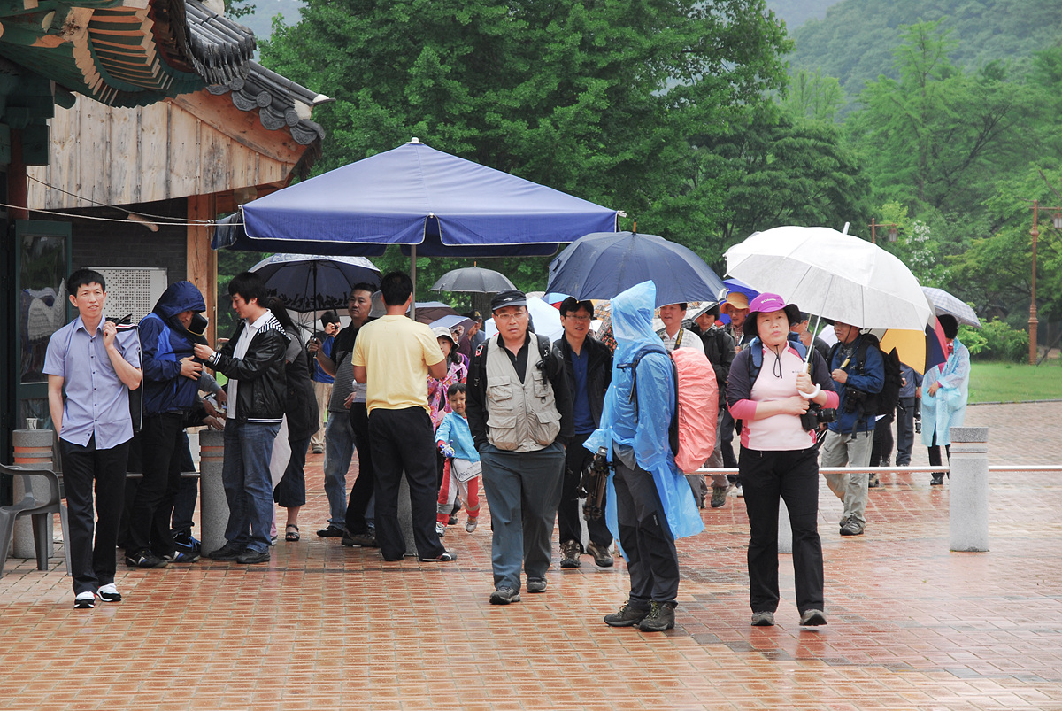 20100522s 001.jpg