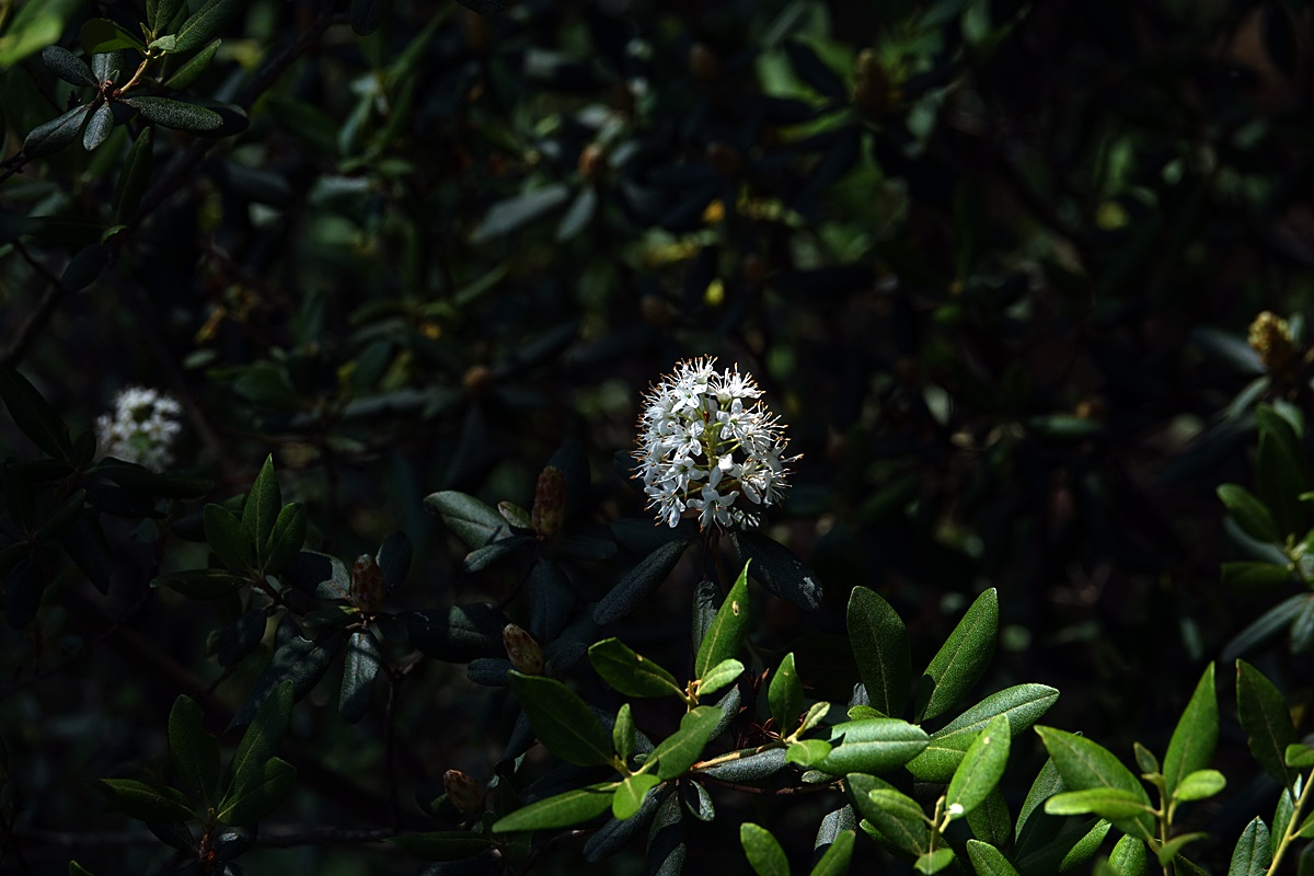 23-06-14 (68)-1.JPG