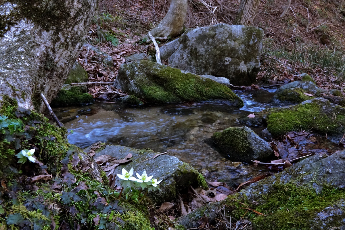 21-04-05 (203)-1.JPG
