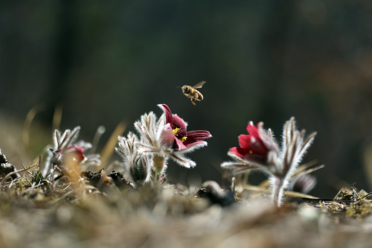 25-03-21 (153)-1.JPG