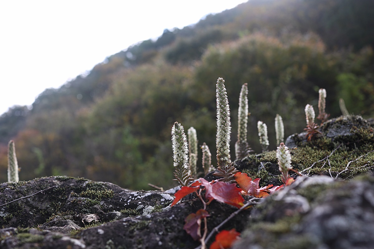 24-10-29 (28)-1.JPG